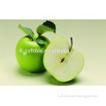 Natural Fruit Nutrition Apple Extract